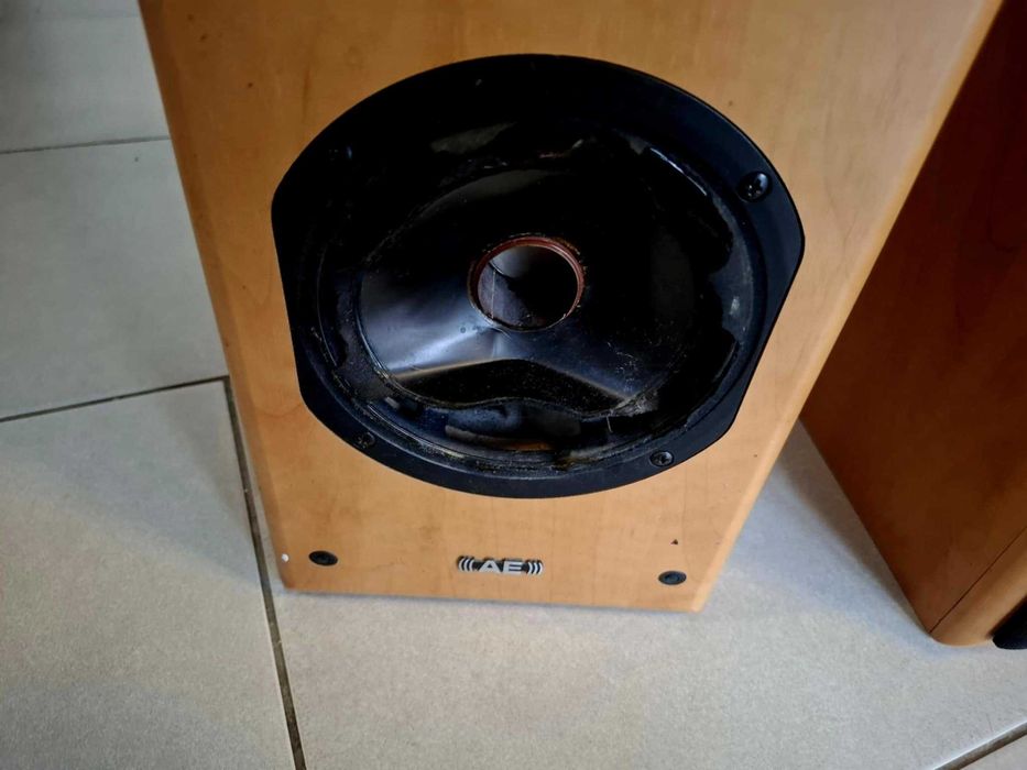 Aegis Neo One głośniki stereo - stan dobry + USZKODZONY