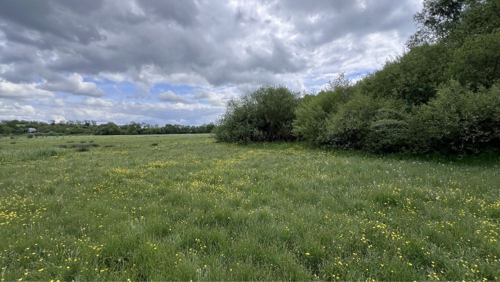 Продаж земельної ділянки Івачів