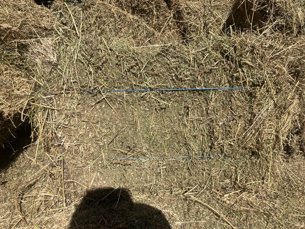 Продам сіно в тюках