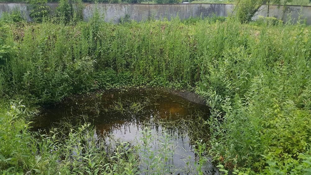 Терміново! Будинок в селі Удайці, Прилуцького району