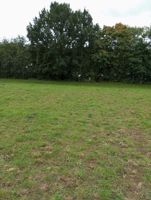 Działka z linią brzegową jeziora Długie 30ar