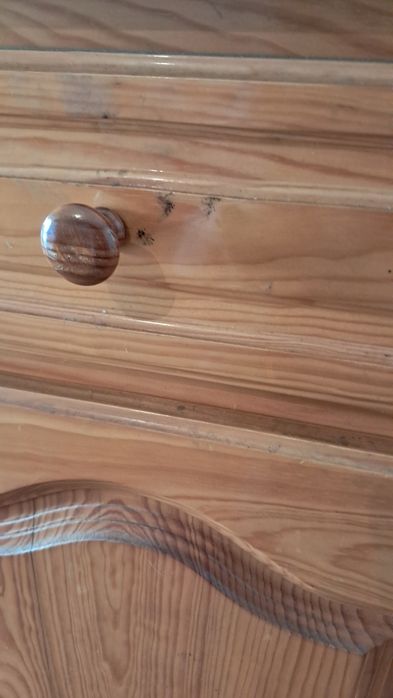 Armário de pinho ideal para restaurar