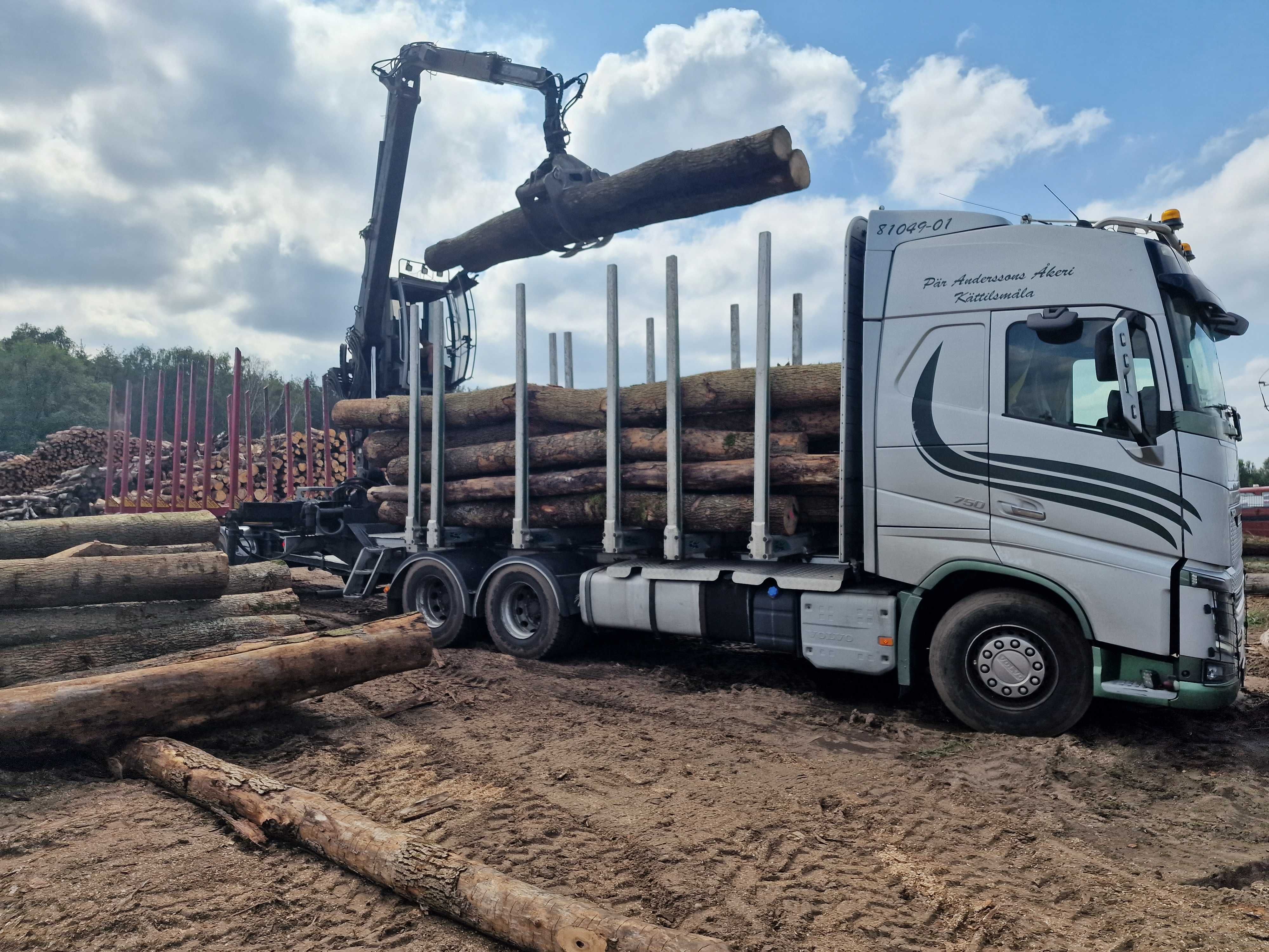 Transport drewna HDS zestaw , uslugi HDS , tr. opalu od 1,0m, podklady