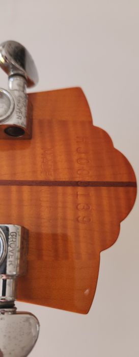 Guitarra Guild X-160 Savoy com Bigsby