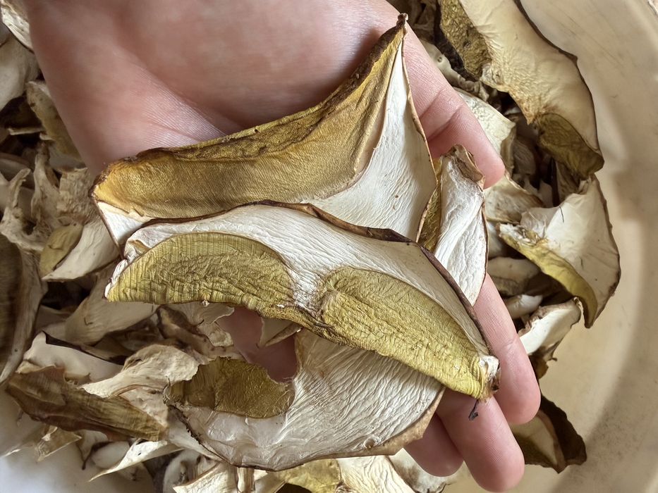 Сухие белые грибы