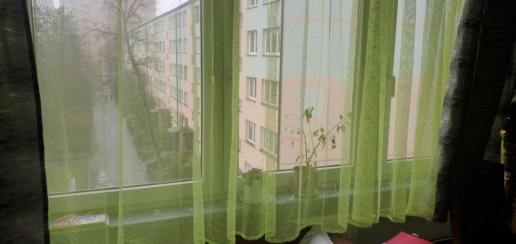 Firanka żółto-zielona 2,4 m szerokości