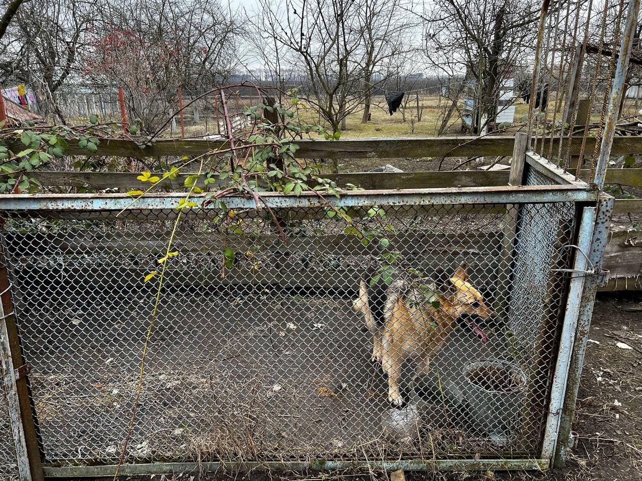 Продам будинок в селі