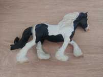 Collecta klacz cygańska
