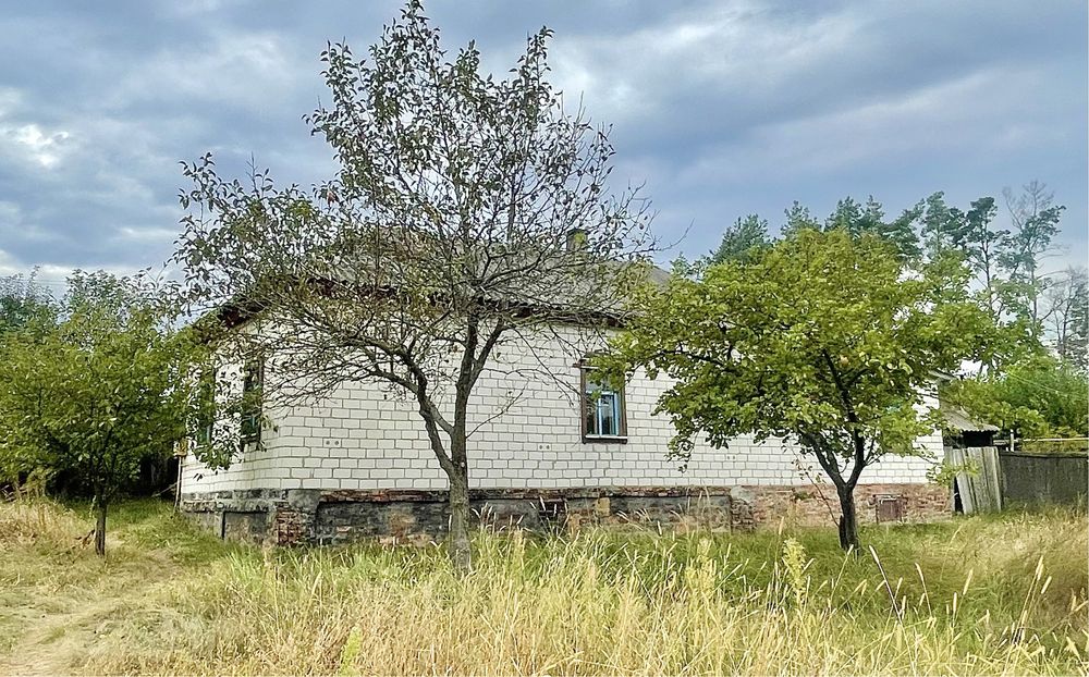 Будинок в с. Якубівка. Біля лісу