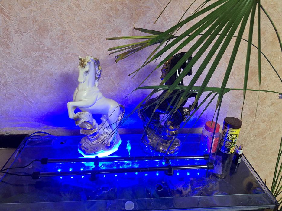 Світло для акваріума