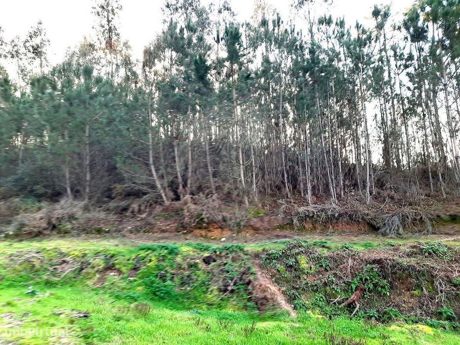 Terreno  para venda