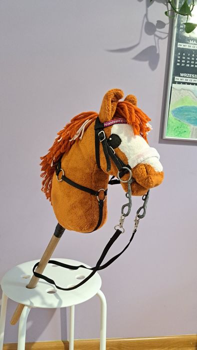 Hobby horse a4 rudy ze sprzętem