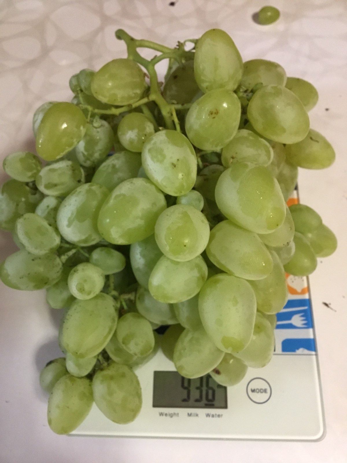 Саджанці винограду двохрічні