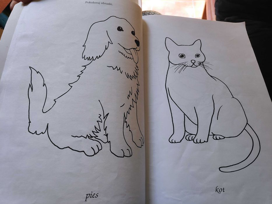 Książka logopedyczna Przygody Języczka - Podróżniczka