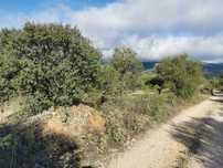 Terreno em Pedrogão