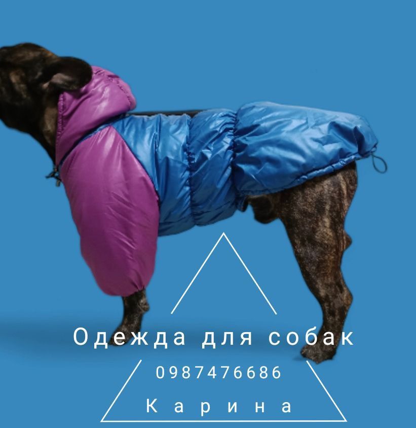 Продам одежду для собак (комбинезоны ,курточки,жилетки).Одежда для фра