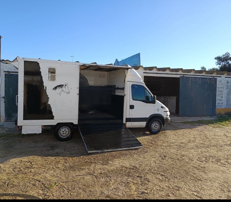 Transporte de cavalos