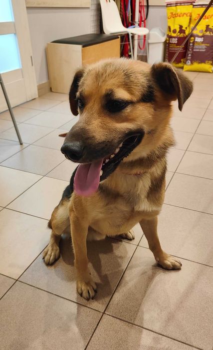 Siedlce, czyja zguba?