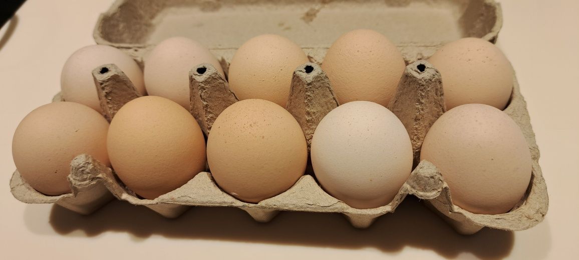 Duże Wiejskie Jajka 100% Naturalne