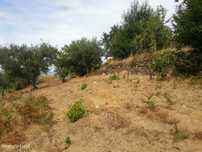 Terreno de cultivo em Póvoa de Penela, Penedono