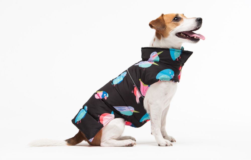 Теплий жилет для песика