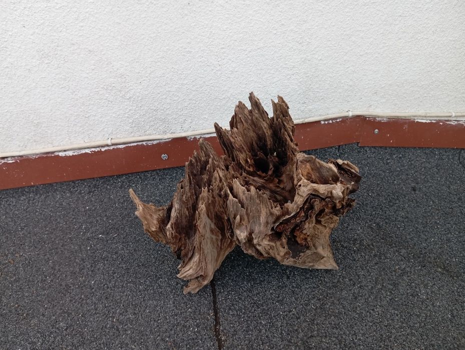 Korzenie do akwarium cd ,terrarium duży wybór !