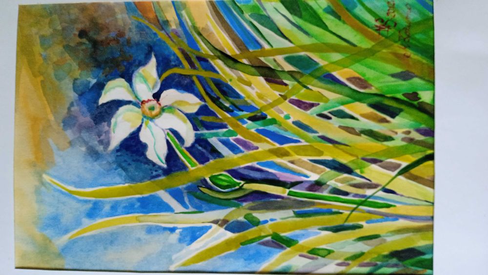 ,, Narcyz" akwarela w ramie bez szkła.