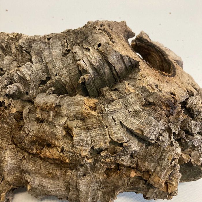 NOVO - Túnel de 100% CORTIÇA, Abrigo para roedores e repteis