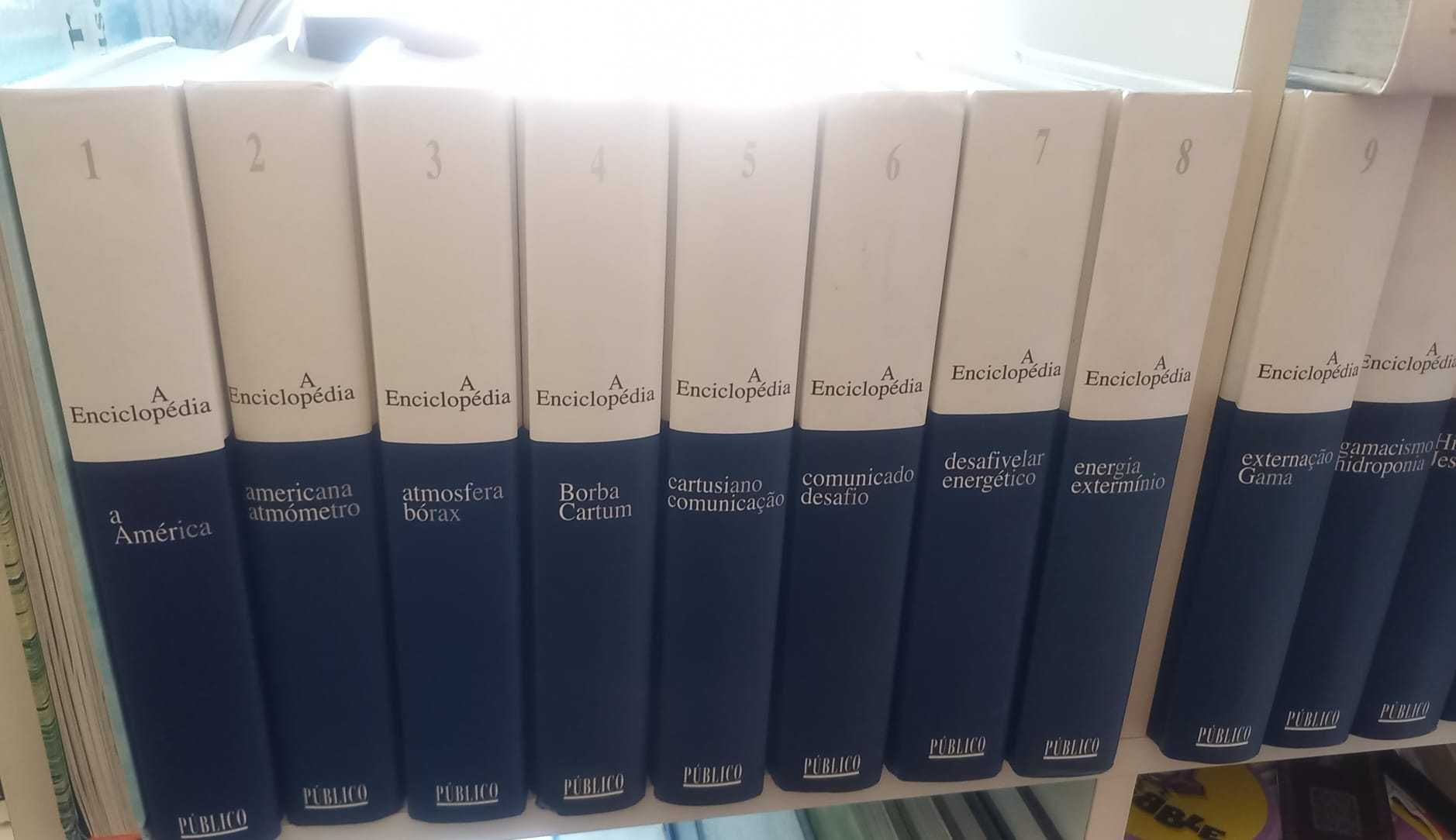 Enciclopédia 20 volumes Público