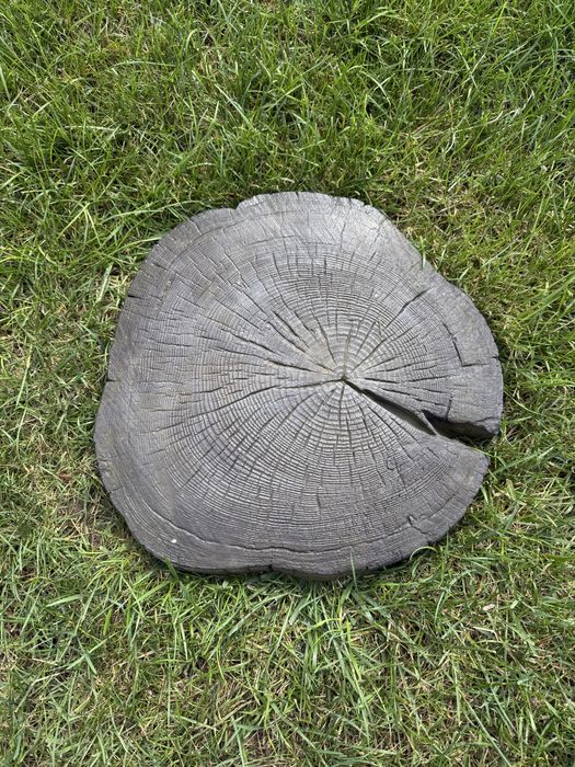 Pień betonowy ozdoba do ogrodu 40 cm
