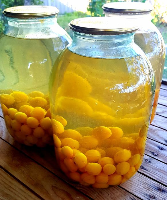 Продам компот Алычи