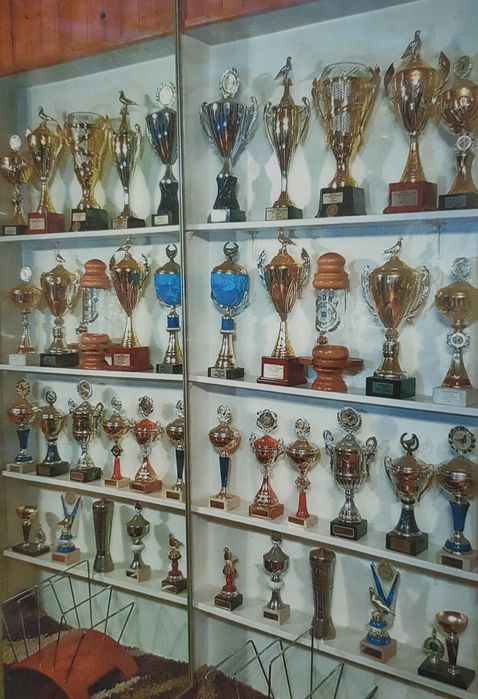 Gołąb Radwan Janssen od Supermistrza OKAZJA !!!