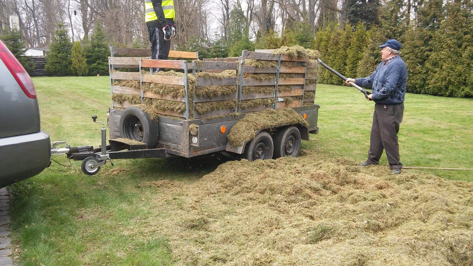 Wertykulacja areacja trawników - pielegnacia koszenie trawy