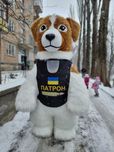 Замовити Білого надувного Ведмедика Мішку на експрес привітання