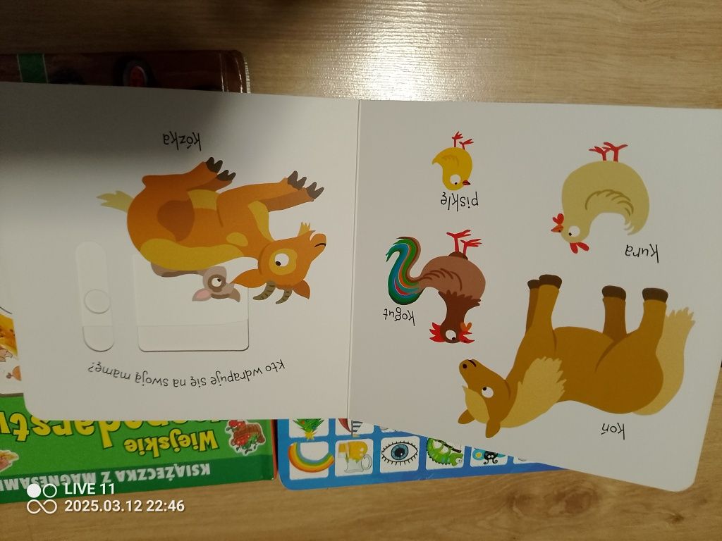 Gospodarstwo nauka i zabawa