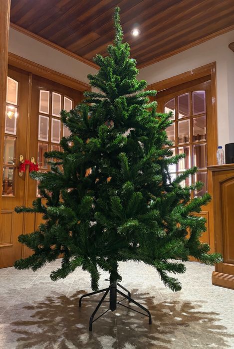 Árvore de Natal nova