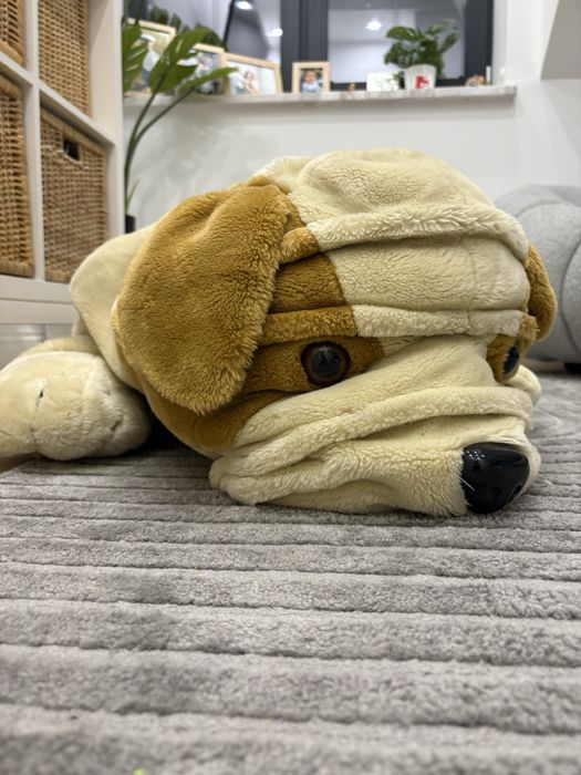 Duzy pies mis wygodny do lezenia