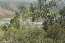 Terreno Rocancanito