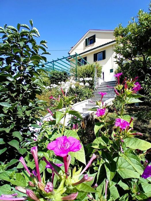 Casa das flores, T4 com garagem