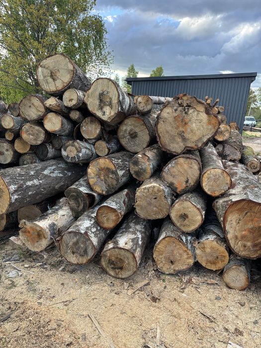 Drewno Kominkowe Brzoza