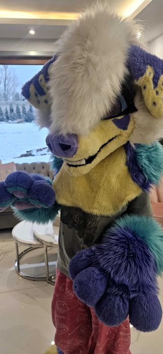 Fursuit Partial Piesek
