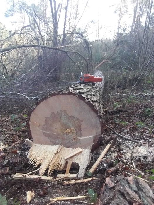 Drewno opałowe suche Kwidzyn, Sztum