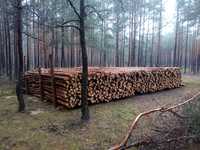 Drewno opałowe Sosnowe Transport Gratis