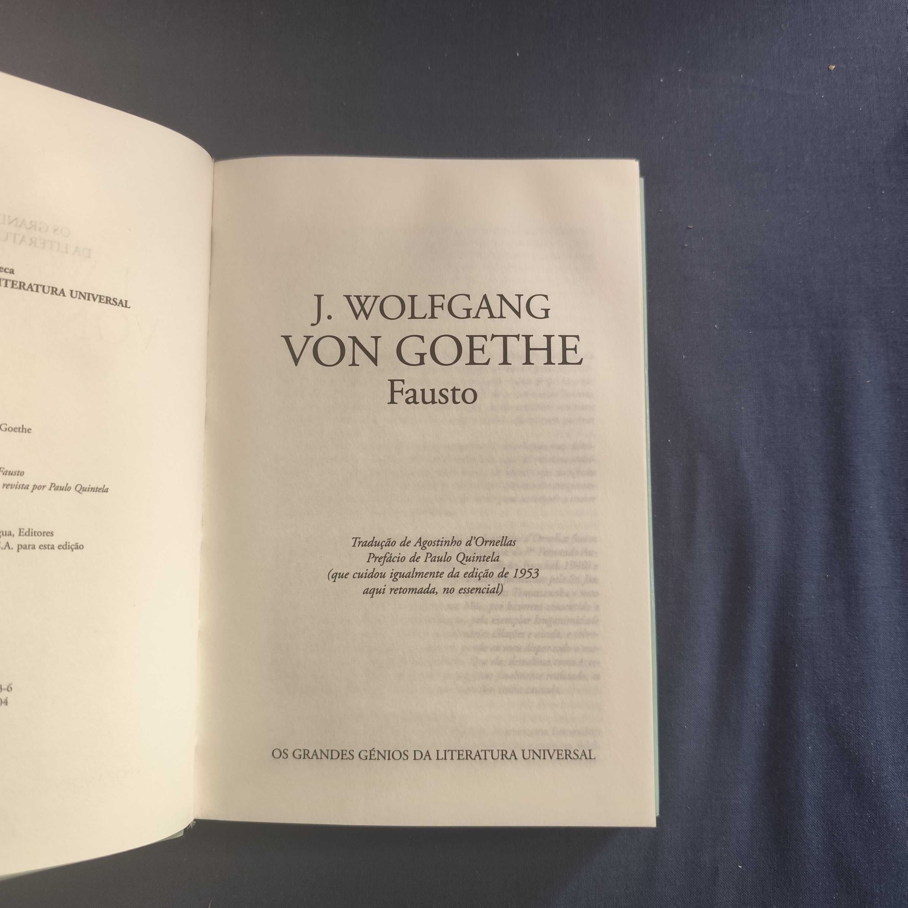 J. Wolfgang Von Goethe - Fausto