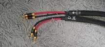 Purist Audio Design Poseidon 2 x 2m
