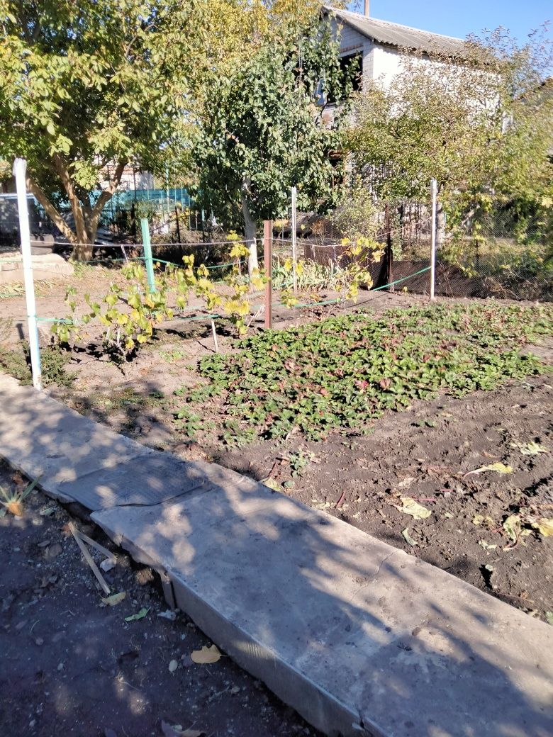 Продається земельна ділянка в дачному кооперативі.