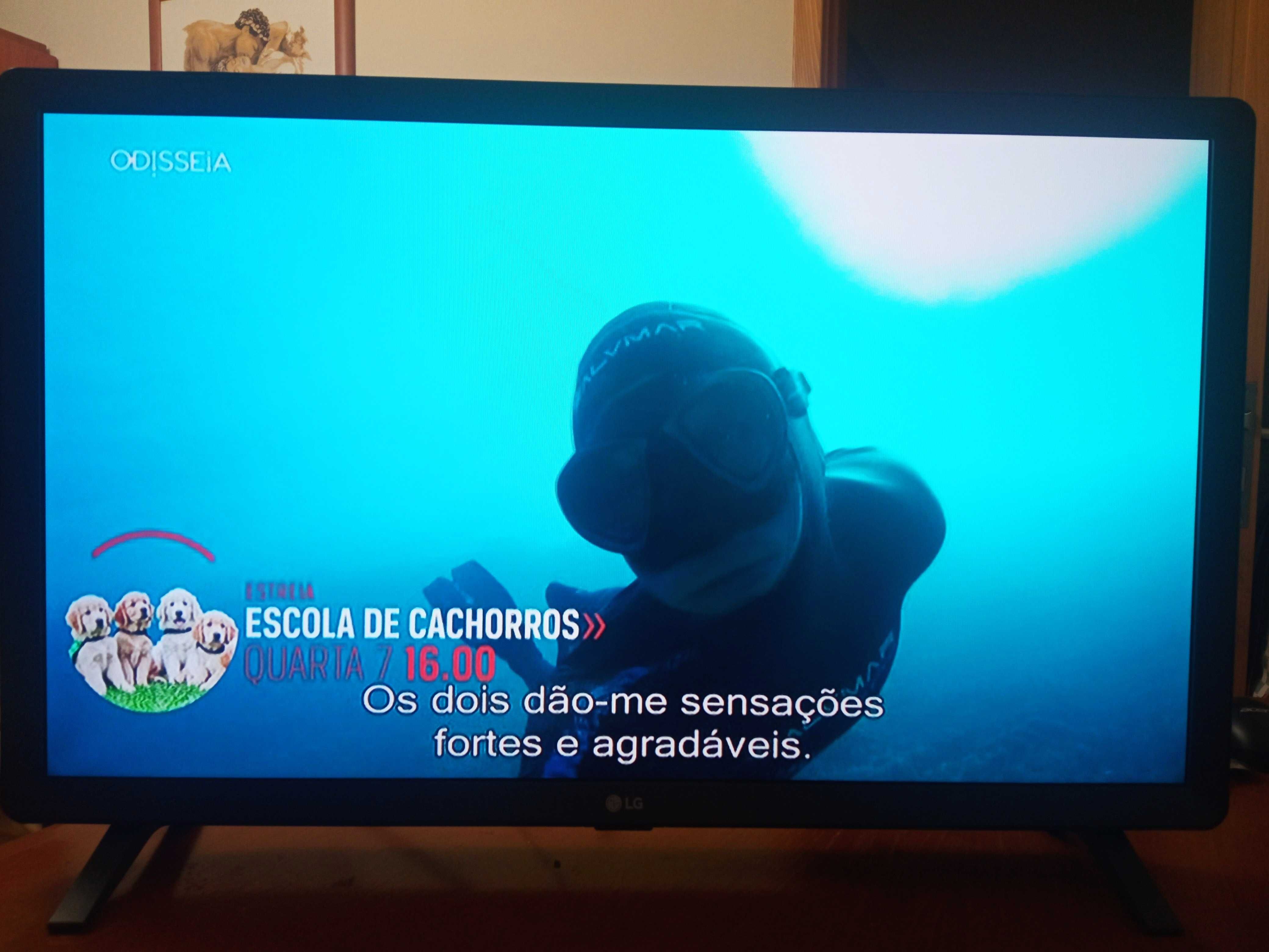 LG Smart TV - 28TL520S