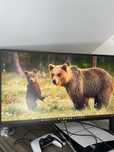 Monitor ASUS 27” 165Hz