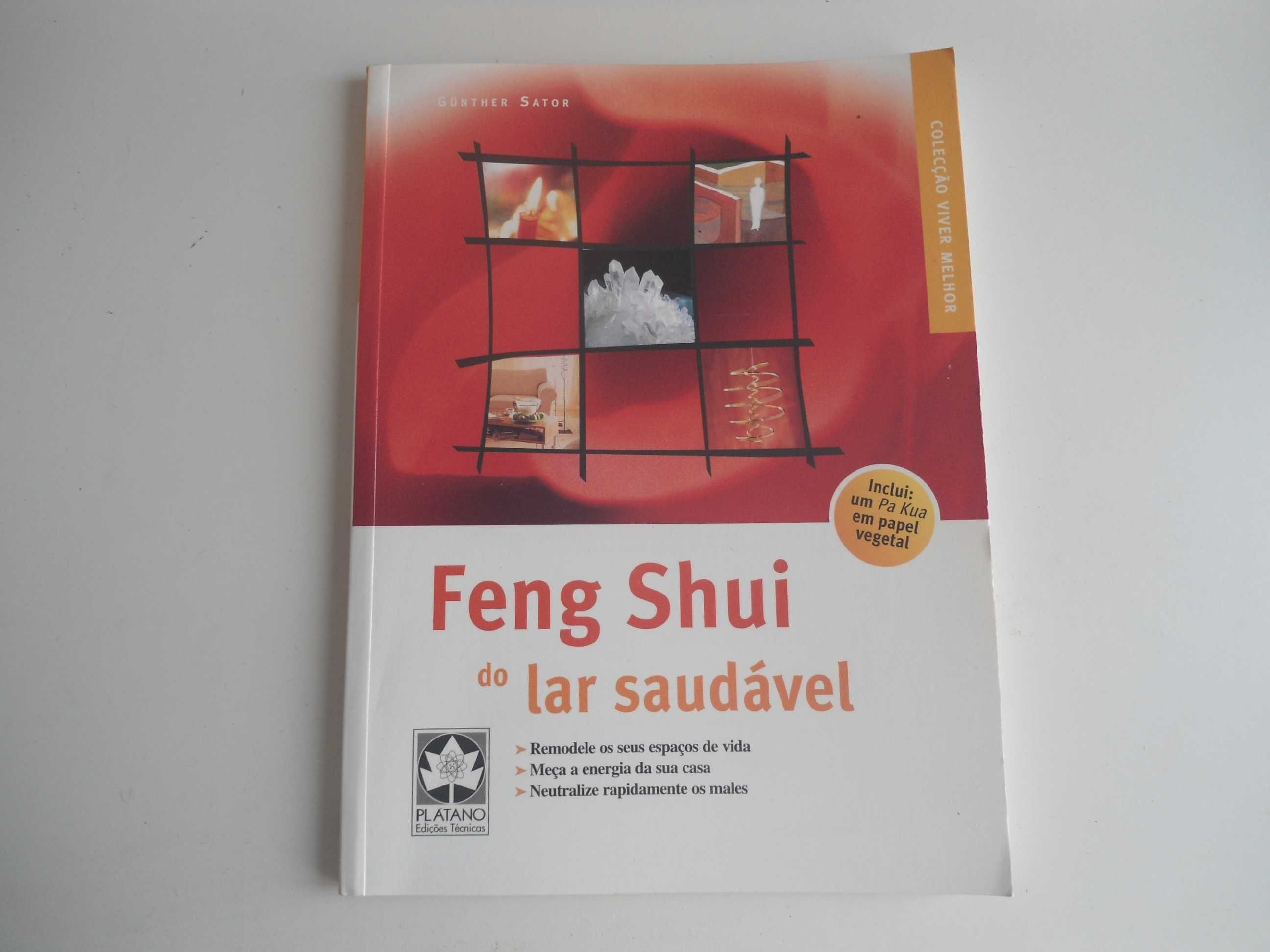 FENG SHUI  do lar saudável por Gunter Sator