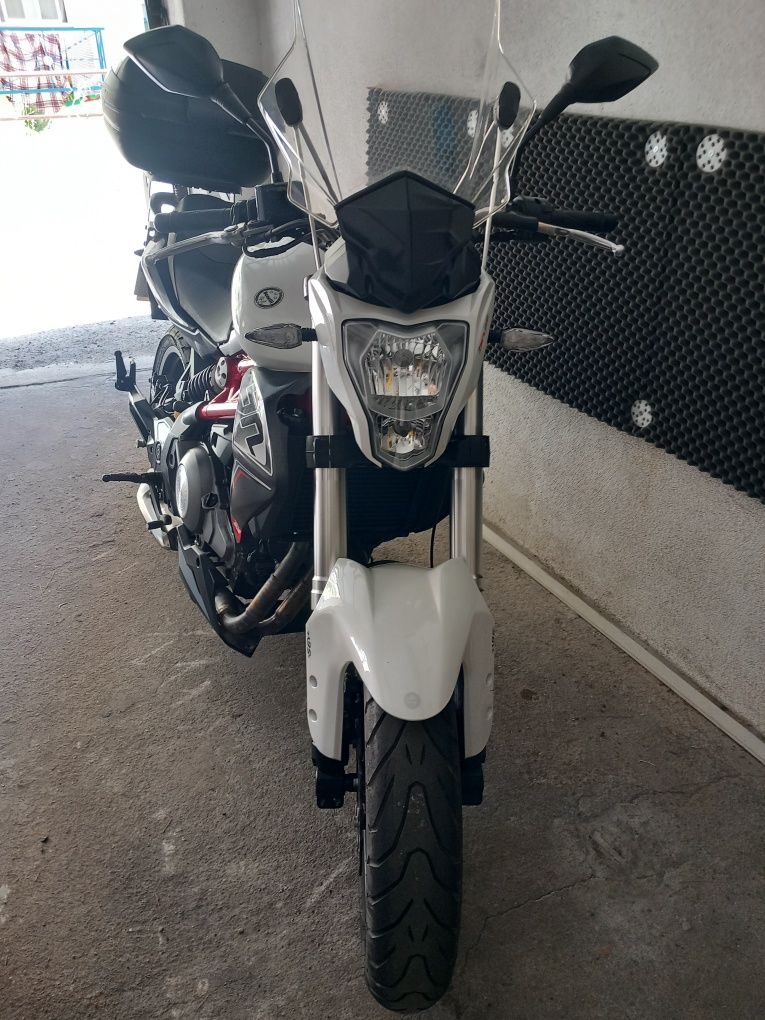 Benelli bn 302 usada